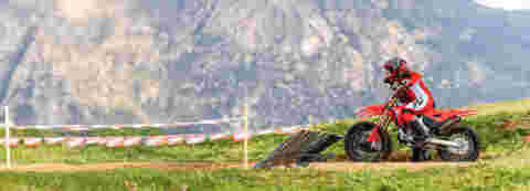 Feared by the track