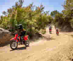 Honda South Africa