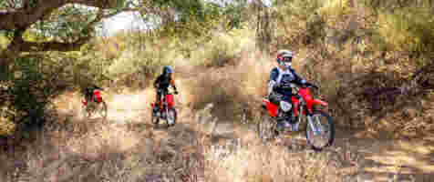 Honda South Africa