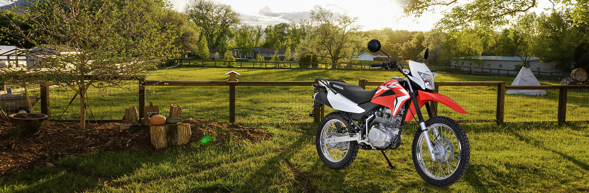 Built for work and play