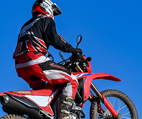 Honda crf 300 online rx price