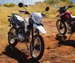 Honda South Africa