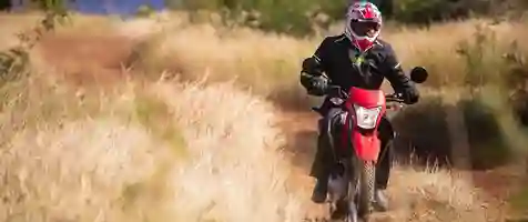Honda South Africa