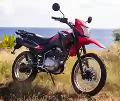 Honda South Africa