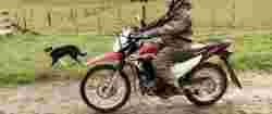 Honda South Africa