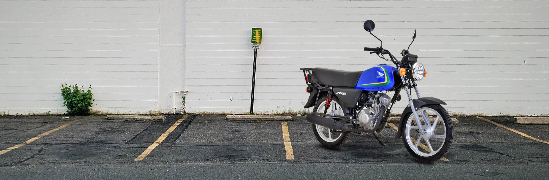 ACE 110 Electric ACE 110 Electric