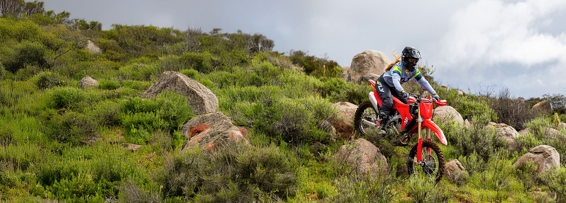 Cross-country appetite Cross-country appetite