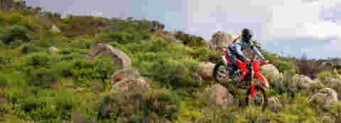 Cross-country appetite