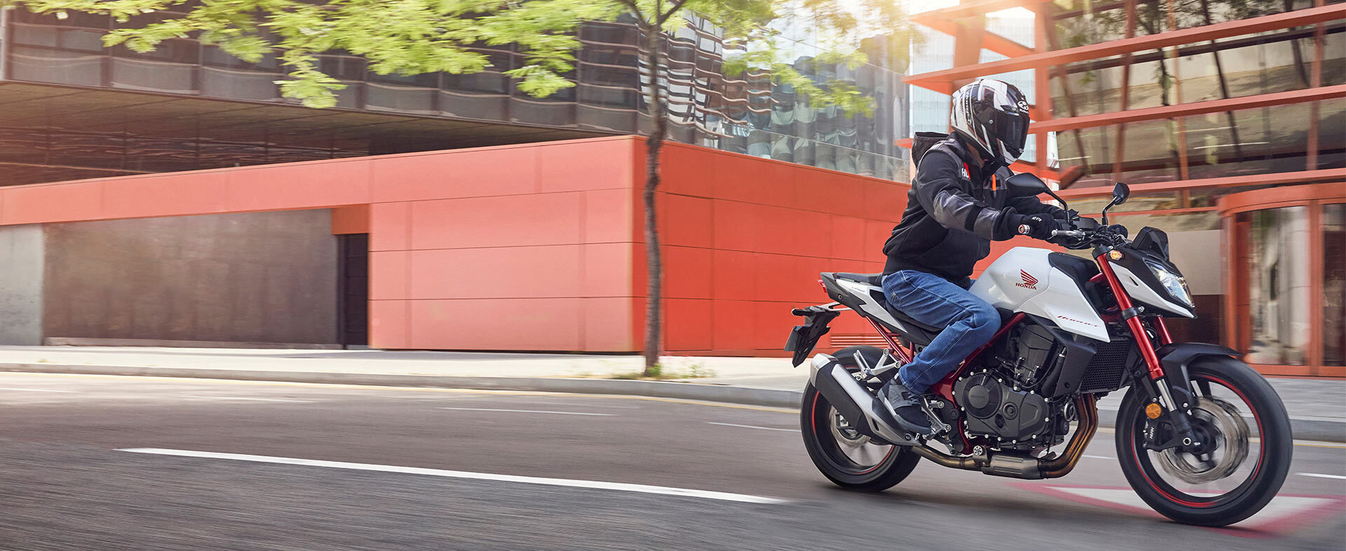 Shake Up the Hive Shake Up the Hive