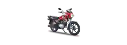 Honda South Africa